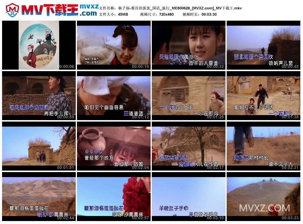 杨子扬-那首泪蛋蛋_国语_流行_ME800628